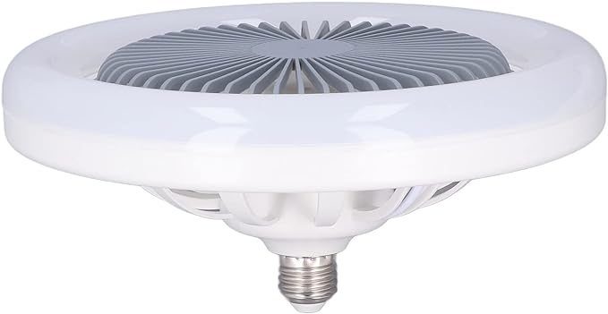 Wing Head Fan Light With Remote Control E27 Screw Light Energy Saving Mute Ceiling Fan Light